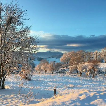 Farm stay Il Filare