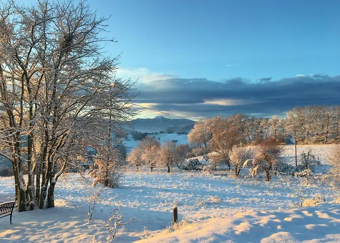 팜스테이 Il Filare