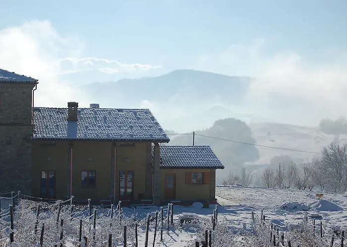 팜스테이 Il Filare *